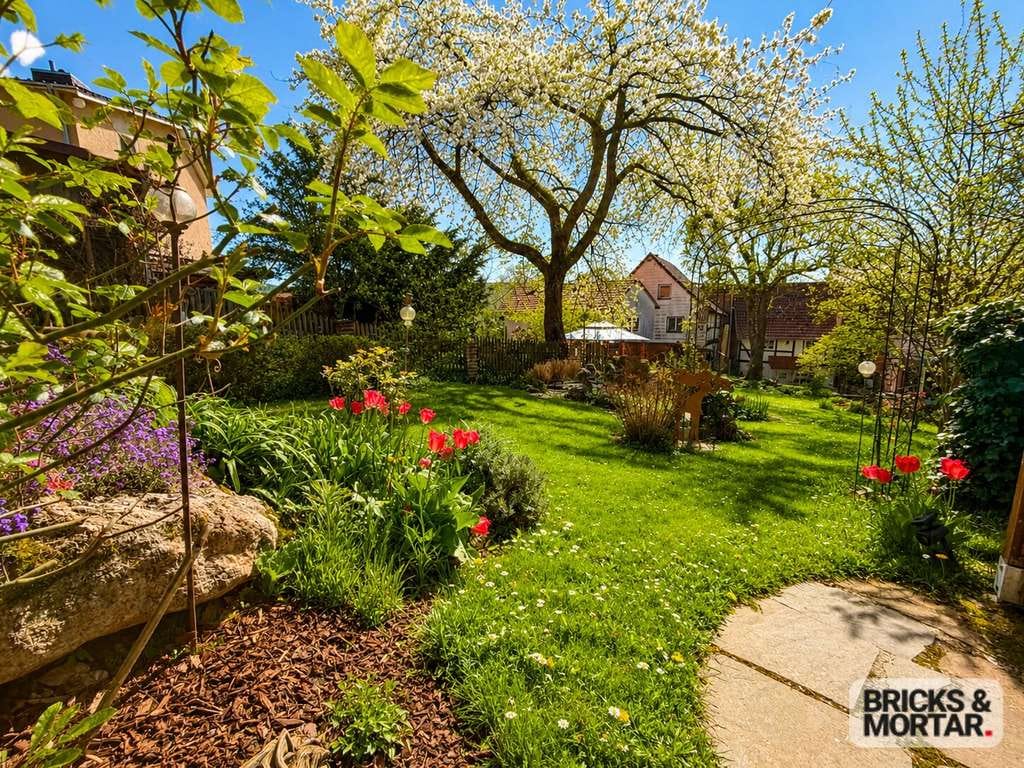 Immobilie in Nieste - Großes Einfamilienhaus 
mit traumhaften Garten - Bild 1