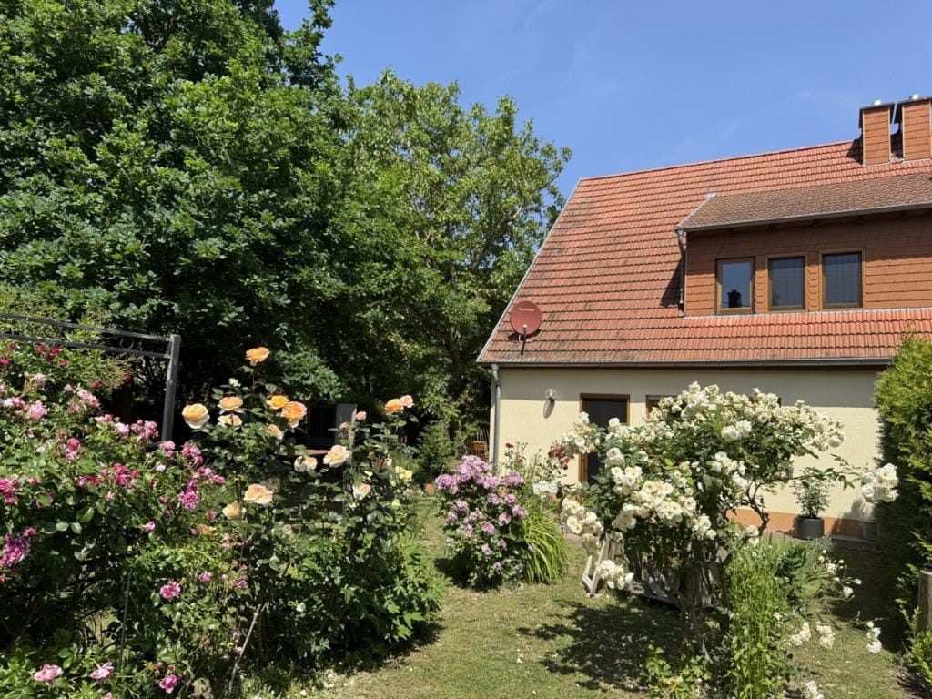 Immobilie in Alsheim - Doppelhaushälfte in Alsheim - Bild 3