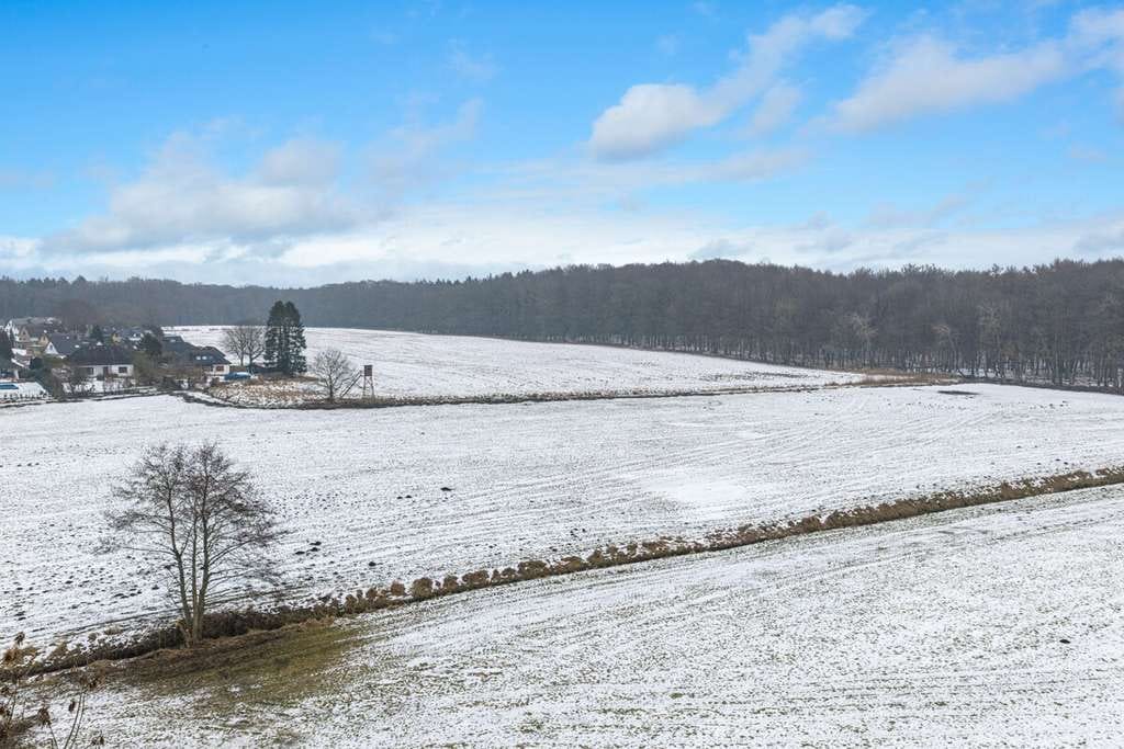 Immobilie in Sievershütten - Architekten-Fachwerk-Blockhaus mit offener Galerie - absolutes Unikat - direkte Feldrandlage mit wun - Bild 3