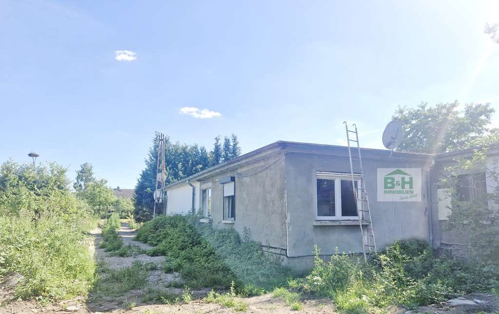 Immobilie in Dessau-Roßlau - Bungalow mit 165 qm Wfl.+Garage in Dessau-Ziebigk – Nähe Elbe & Kornhaus 4881 qm San.bedarf - Bild 1