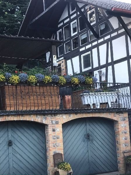 Immobilie in Feldatal - Außergewöhnliche Immobilie mit Wohnung und Gästezimmern - Bild 2