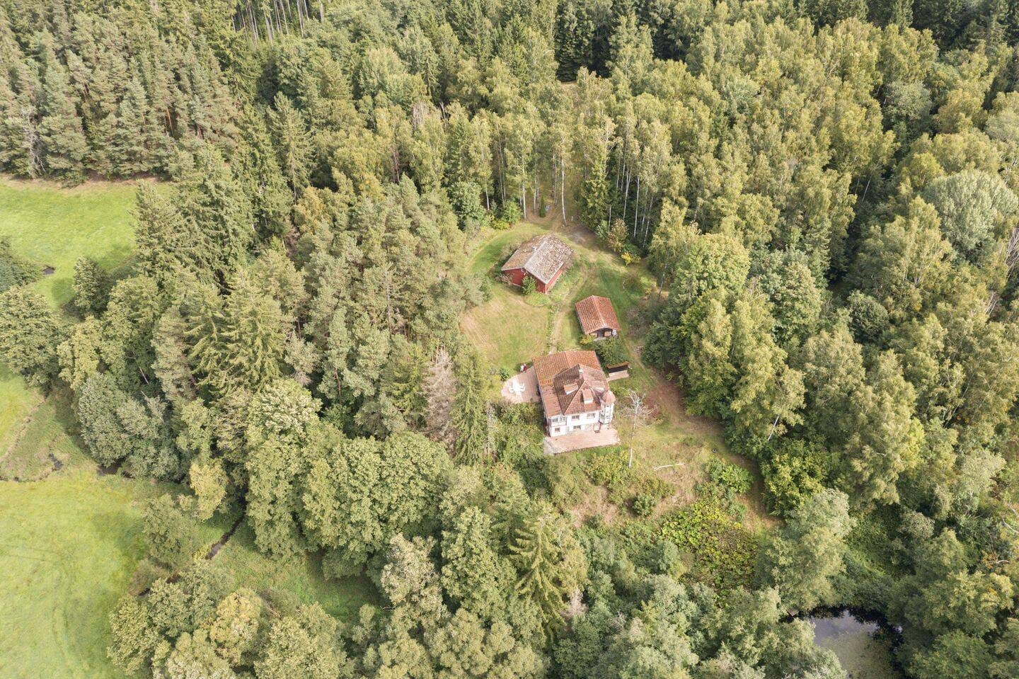 Immobilie in Leupoldsgrün - idyllisches Wochenendhaus in ruhiger Alleinlage auf 4,5 ha zu verkaufen - Bild 2
