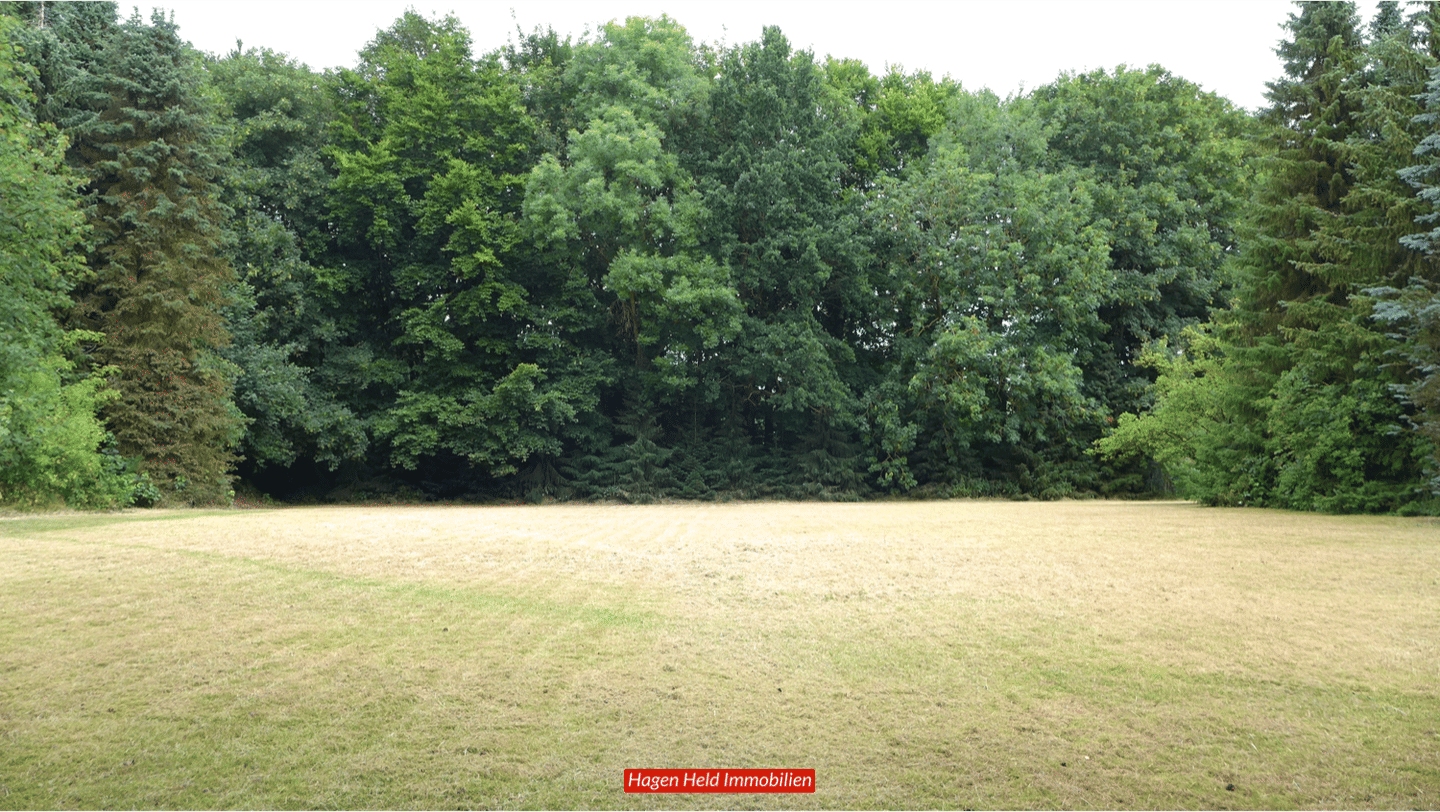 Immobilie in Rohlstorf - EFH/Nebengebäude 1950-2026, saniert, renoviert, überplant, 100 m² Wfl + Nfl.,4173 m² Grund, avi. Bauland, Raum und Fläche für viele Lebensziele - Bild 3