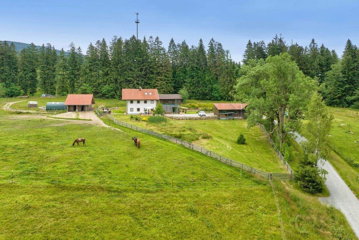 Immobilie in Haidmühle - Wohntraum in Alleinlage - Bild 4