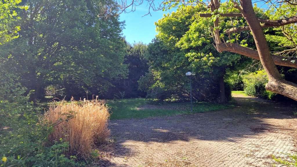 Immobilie in Nordstemmen - Winkelbungalow plus Scheune mit Wohnteil und 4 Garagen - Bild 4