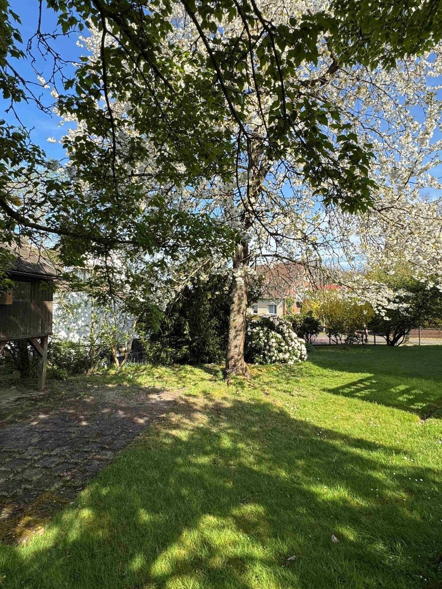 Immobilie in Rohrsen - Von Ihrem IMMO.PARTNER: Interessantes Zweifamilienhaus in ruhiger Lage - Bild 4
