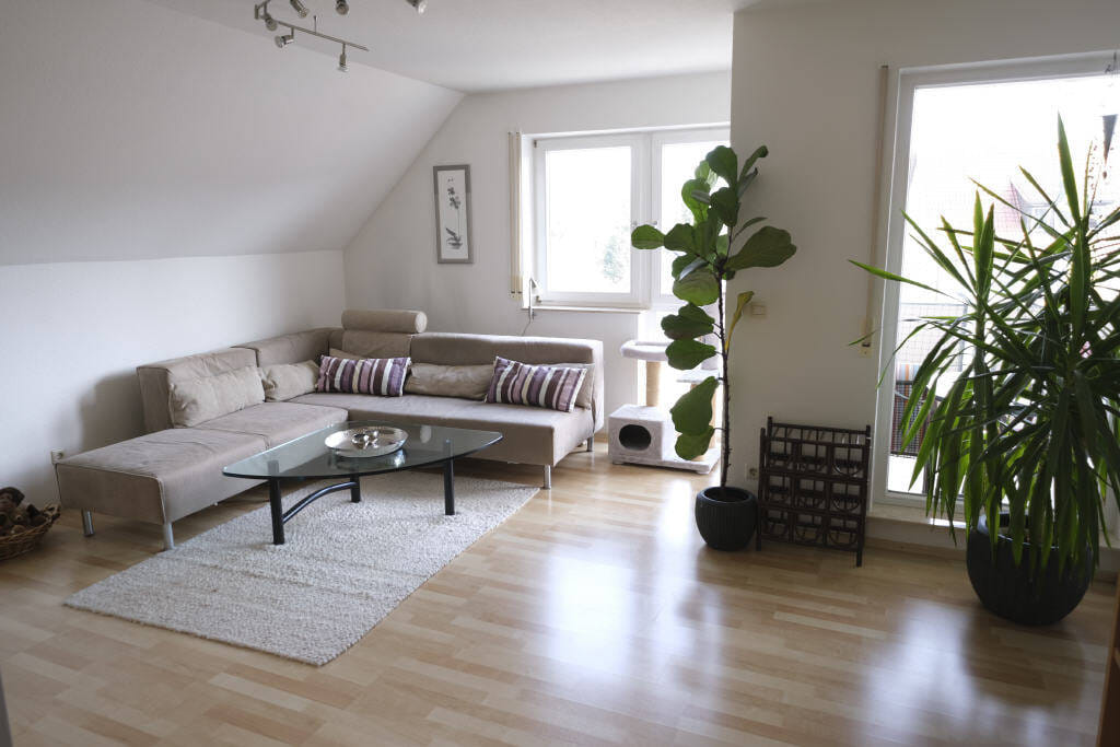 Immobilie in Ummendorf - Tolle 3,5-Zimmer-Atelierwohnung in zentraler Lage in 88444 Ummendorf - Bild 3
