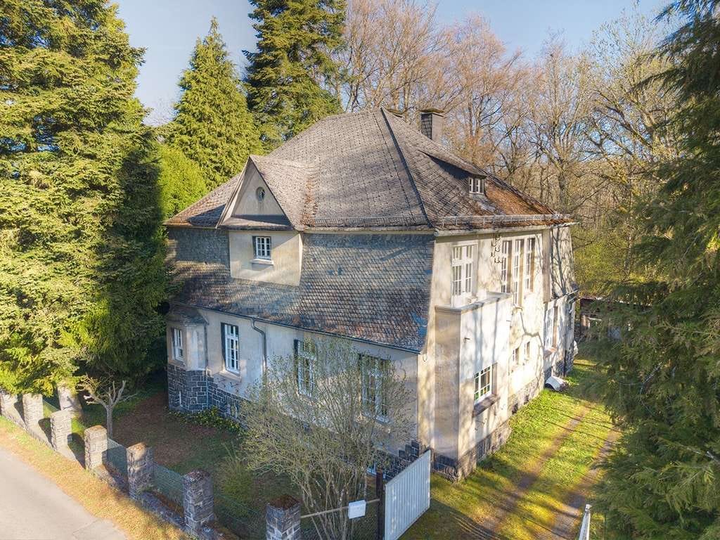 Immobilie in Höhn - Herrschaftliches Haus im Westerwald mit großem Grundstück und viel Privatsphäre ! - Bild 1