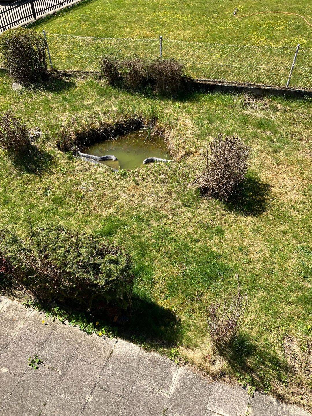 Immobilie in Haag in Oberbayern - Sehr schönes großes Grundstück mit Altbestand - Bild 4
