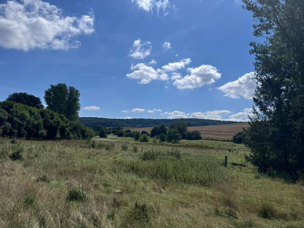 Immobilie in Katzweiler - REINE WOHNNUTZUNG MÖGLICH! GEBÄUDEKOMPLEX MIT NATURTEICH UND BIS ZU 16 HA LAND IN ABS. ALLEINLAGE! - Bild 2