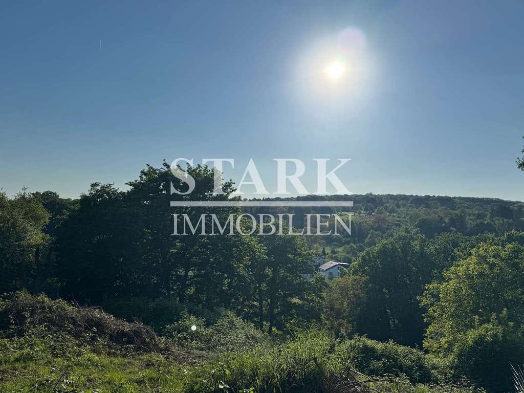 Immobilie in Bad Soden - „Denke immer daran, dass es nur eine wichtige Zeit gibt: Heute. Hier. Jetzt.“ – Leo Tolstoi - Bild 2