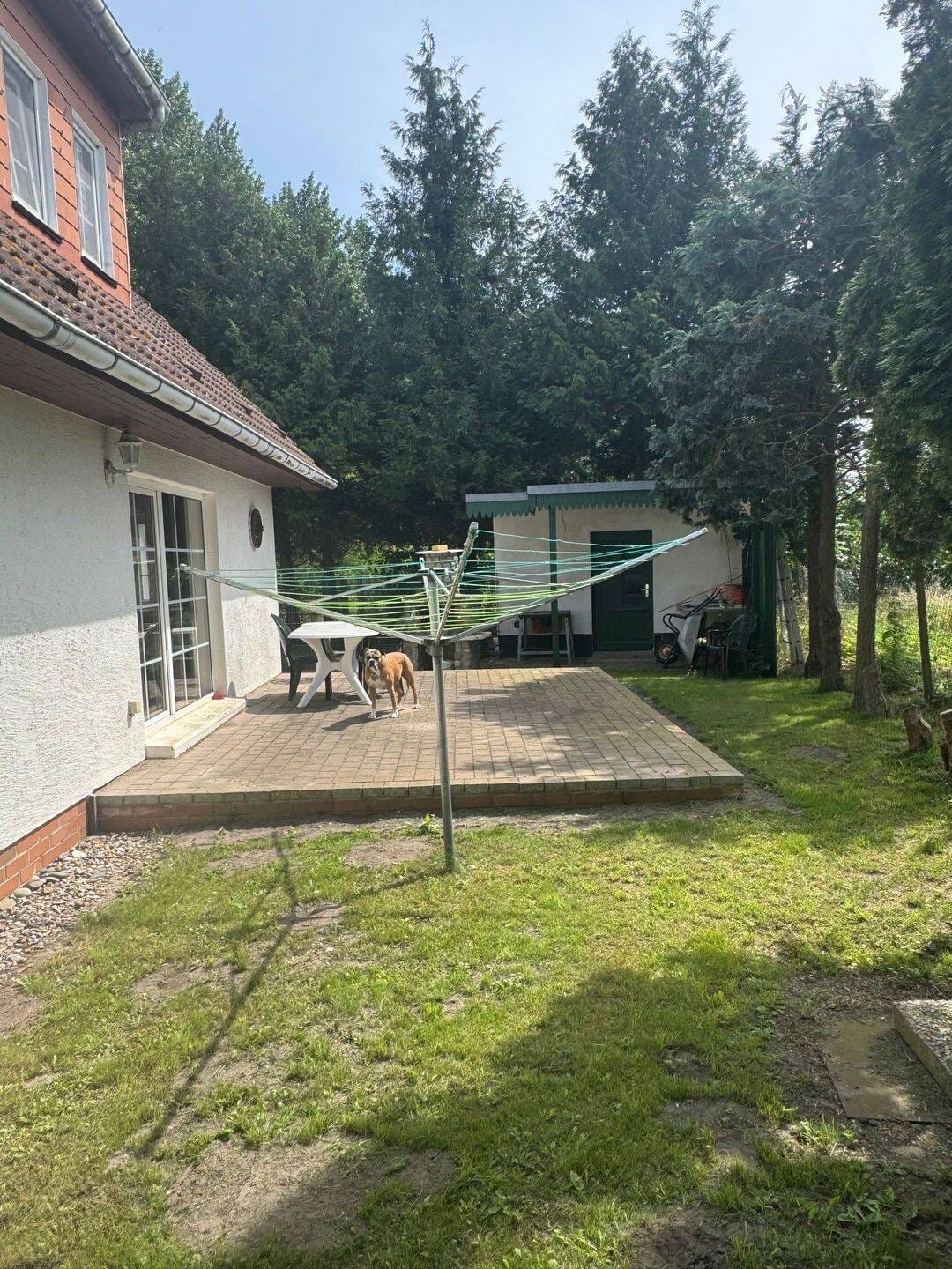 Immobilie in Am Salzhaff - Traumhaft wohnen in Alleinlage  Nähe Salzhaff  - Bild 1
