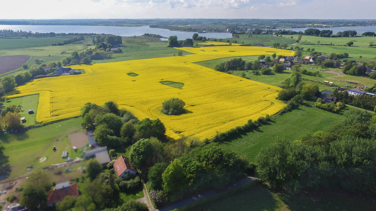 Immobilie in Winnemark - Zweifamilienhaus mit großem Garten in ruhiger Lage - Bild 1