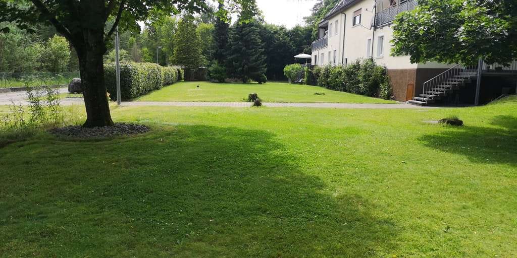 Immobilie in Iffezheim - Außergewöhnliches Mehrgenerationen- / Wohnanwesen mit 4.607 m² Naturgrundstück bei Iffezheim - Bild 4