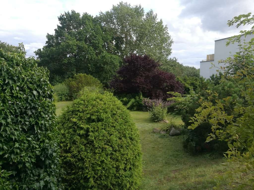 Immobilie in Zinnowitz - Provisionsfrei - Ferien-/Eigentumswohnung Residenz Bellevue - Bild 0