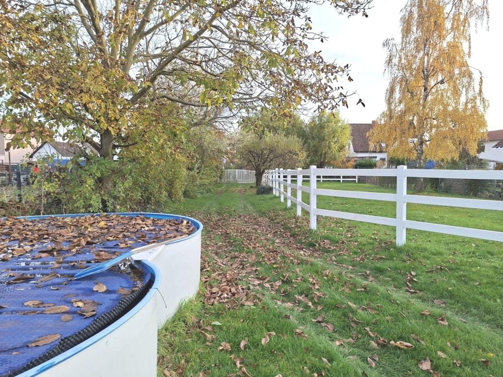 Immobilie in Lustadt -  - Bild 2