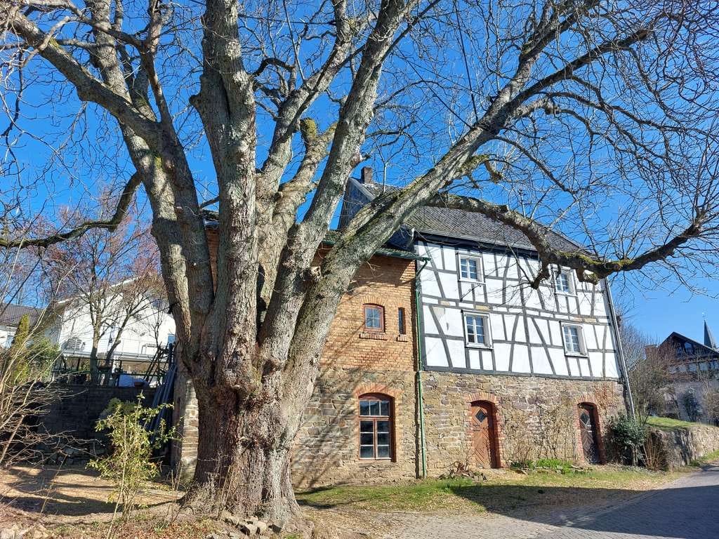 Immobilie in Ruppichteroth - Fachwerktraum im Herzen von Ruppichteroth - Bild 3
