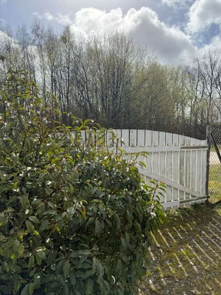 Immobilie in Wriedel - Schönes Haus für Mensch und Tier - hier rechnet sich die Investition - Bild 4