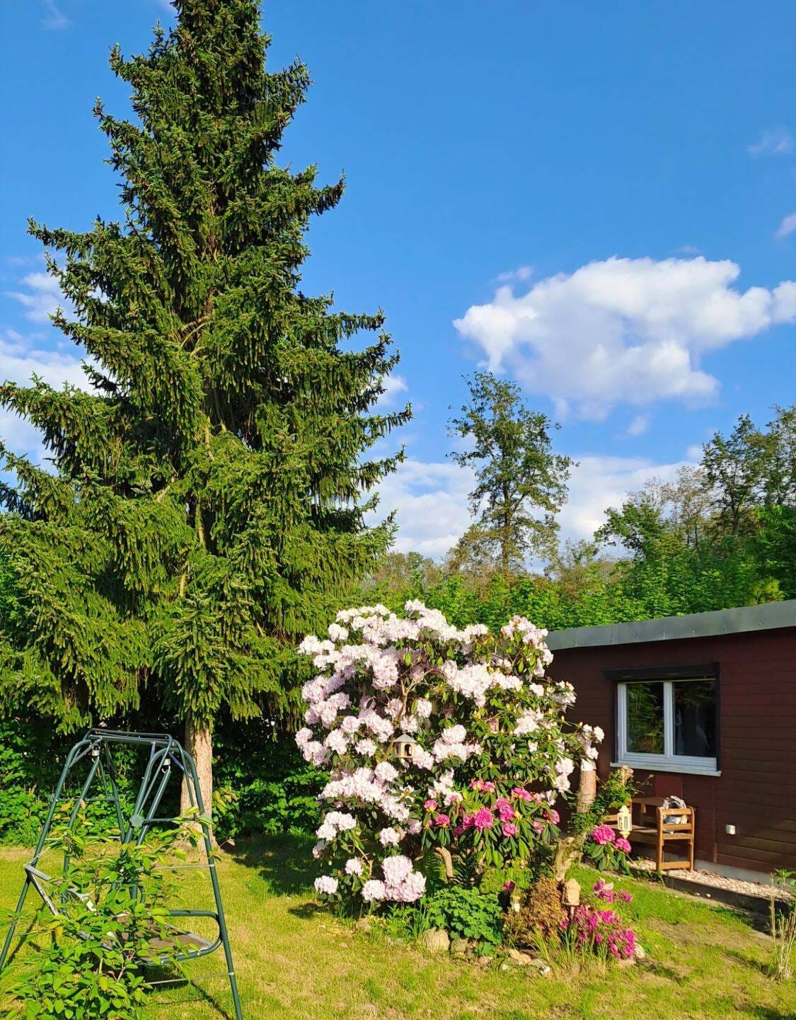 Immobilie in Belgern-Schildau - Freizeitgrundstück mit liebe- und stilvoll hergerichteten Bungalow in unmittelbarer Nähe zum Seebad in Schildau - Bild 2