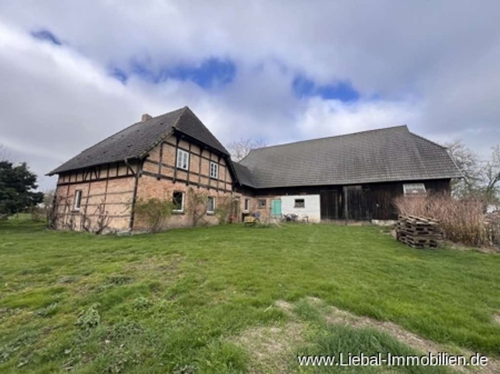Immobilie in Penzlin - Charmantes Fachwerk-Bauernhaus in idyllischer Alleinlage - Bild 1