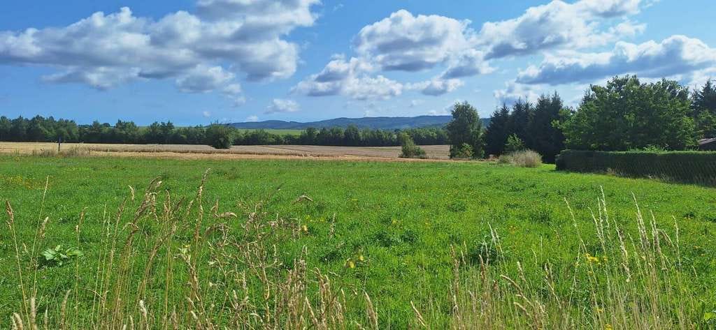 Immobilie in Barchfeld-Immelborn - Repräsentativ und zeitlos schön-klare Linien und Moderne treffen auf Idylle bei Bad Salzungen - Bild 3