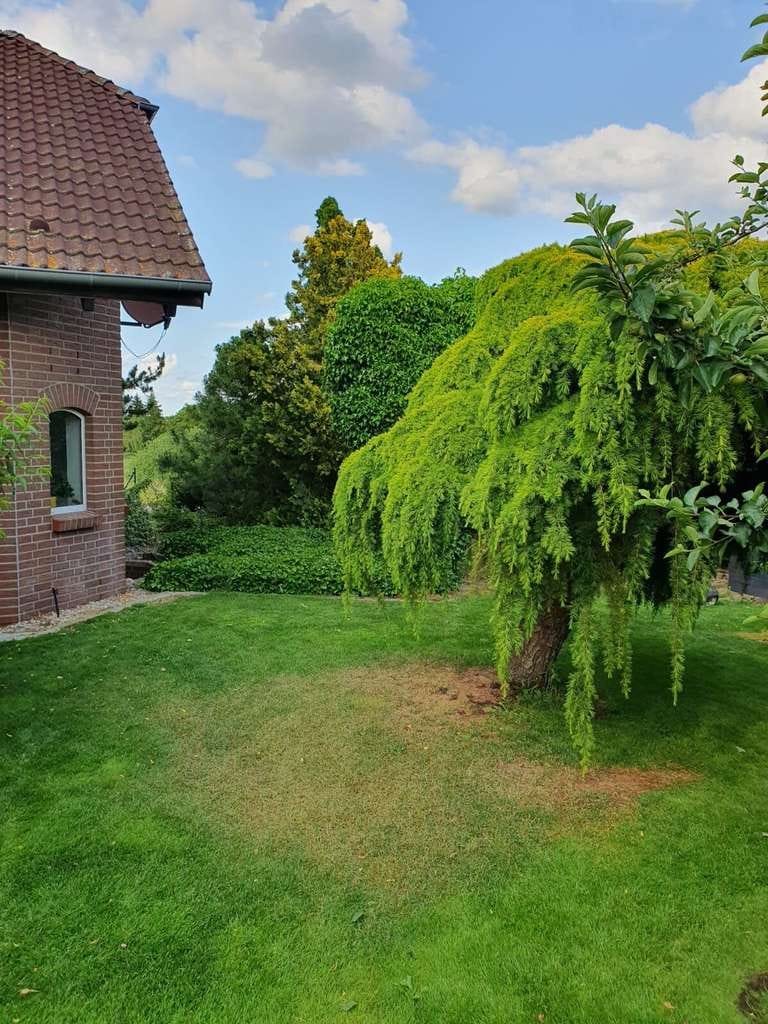 Immobilie in Schwedt/Oder - Vielseitiges Einfamilienhaus mit Gewerbefläche in Berkholz-Meyenburg! - Bild 2