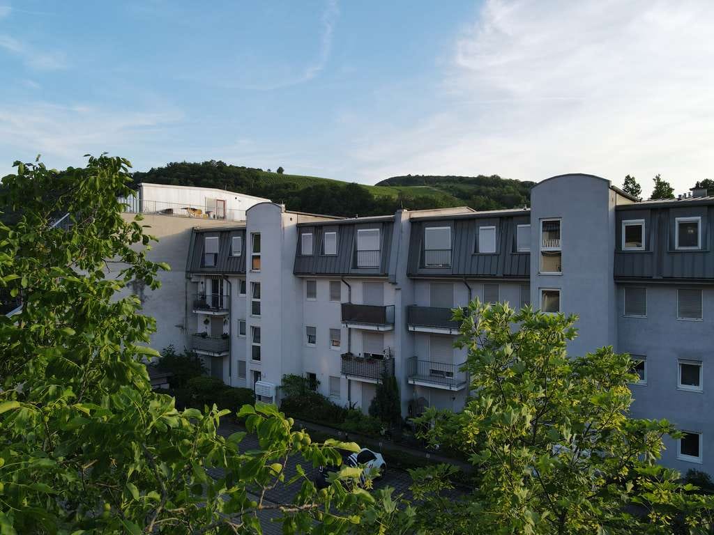 Immobilie in Bingen am Rhein - ***Ein-Zimmerwohnung mit Naheblick*** - Bild 3