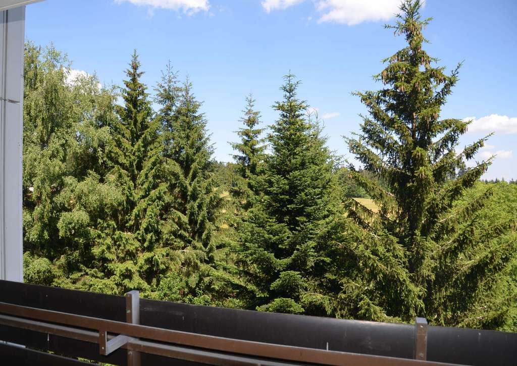Immobilie in Freudenstadt - Kleine Wohnoase mit Balkon, Aufzug und herrlicher Aussicht - Bild 1