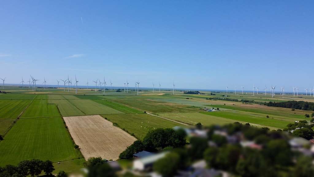 Immobilie in Bordelum - Ihr Traum vom Reetdachhaus – Ruhig gelegen und nur wenige Minuten von der Nordsee entfernt - Bild 3