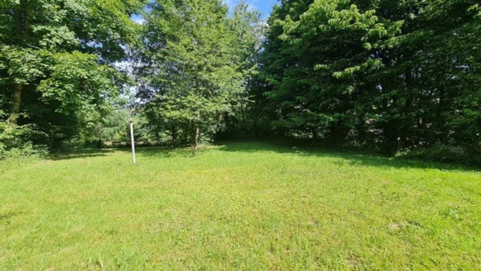 Immobilie in Laufach - Dreifamilienhaus mit Gartenidylle in Laufach - Bild 0