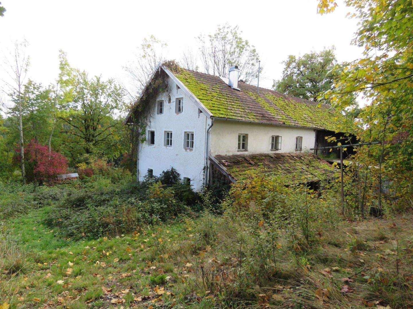 Immobilie in Neukirchen vorm Wald - Anwesen in fast Alleinlage auf einer Anhöhe mit Fernsicht Nähe Hutthurm - Bild 2