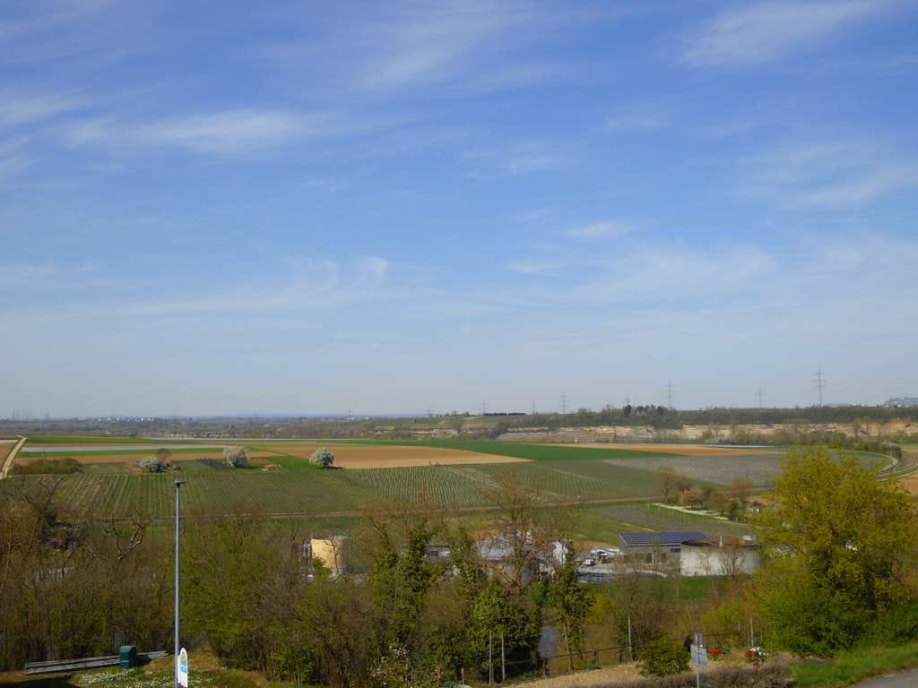 Immobilie in Lauffen am Neckar - Charmanter Altbau im Herzen von Lauffen - Bild 4