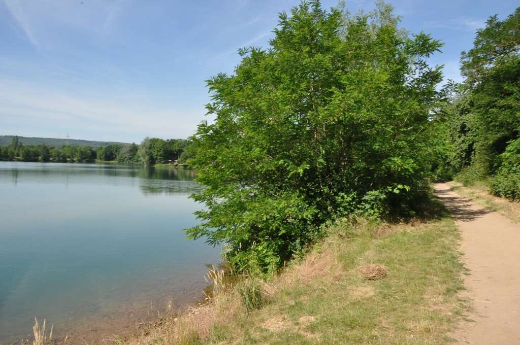 Immobilie in Niedernberg - Direkte Wasserlage… Sanierungsobjekt - Bild 1