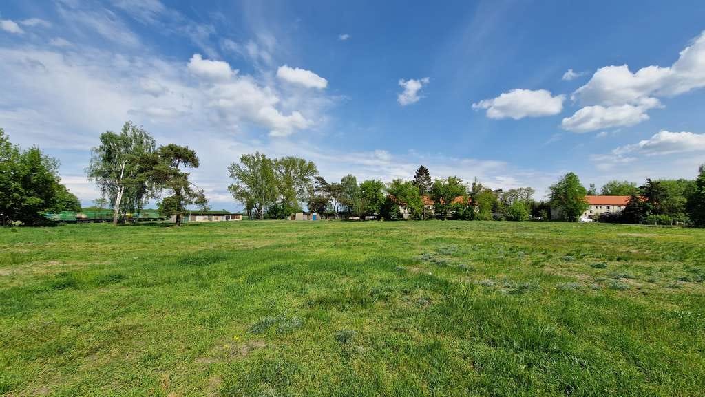 Immobilie in Friesack - Hausbau leicht gemacht: Massivhaus Bodensee 129 im Havelland - Bild 4