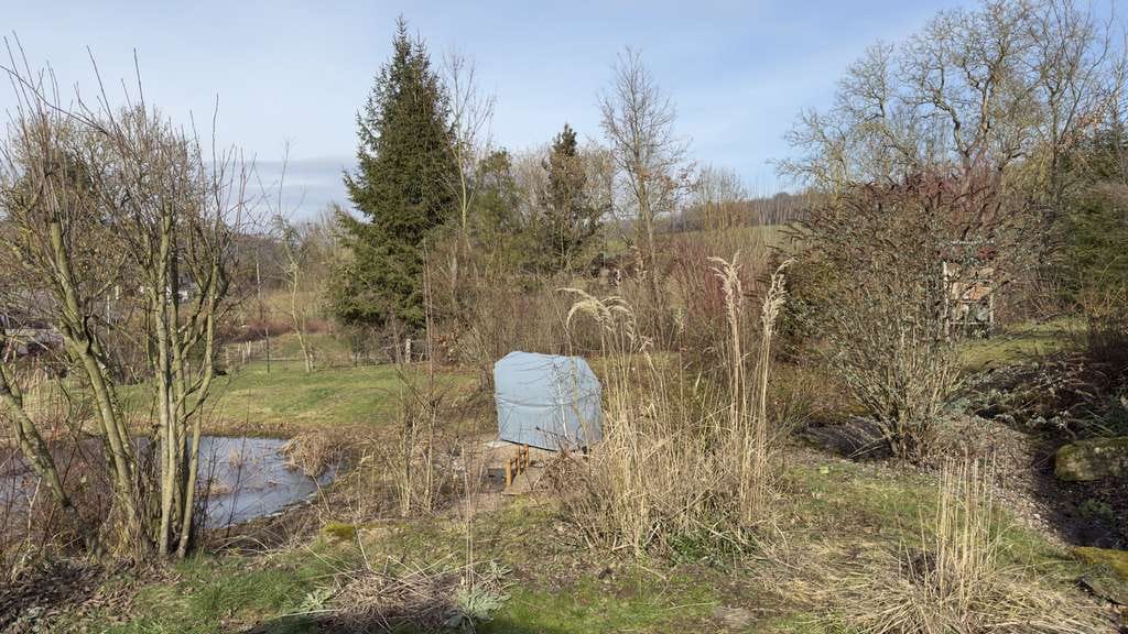 Immobilie in Lauenförde - Leben im Grünen: Liebevoll gepflegtes EFH mit neuer Wärmepumpe & PV (2024) &  großem Naturgrundstück - Bild 4
