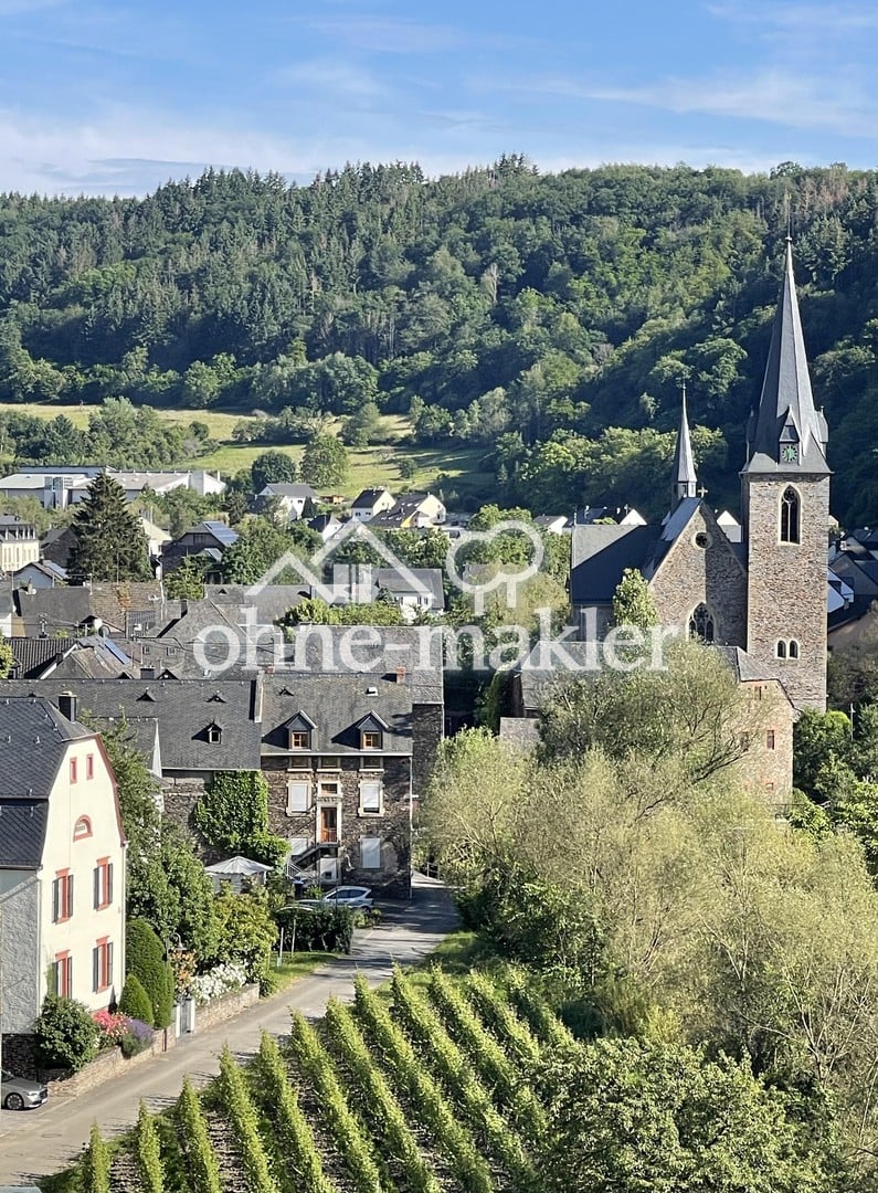 Immobilie in Neumagen-Dhron - Exklusives Landhaus, selten, außergewöhnlich, hohes Maß an Privatsphäre - Bild 2