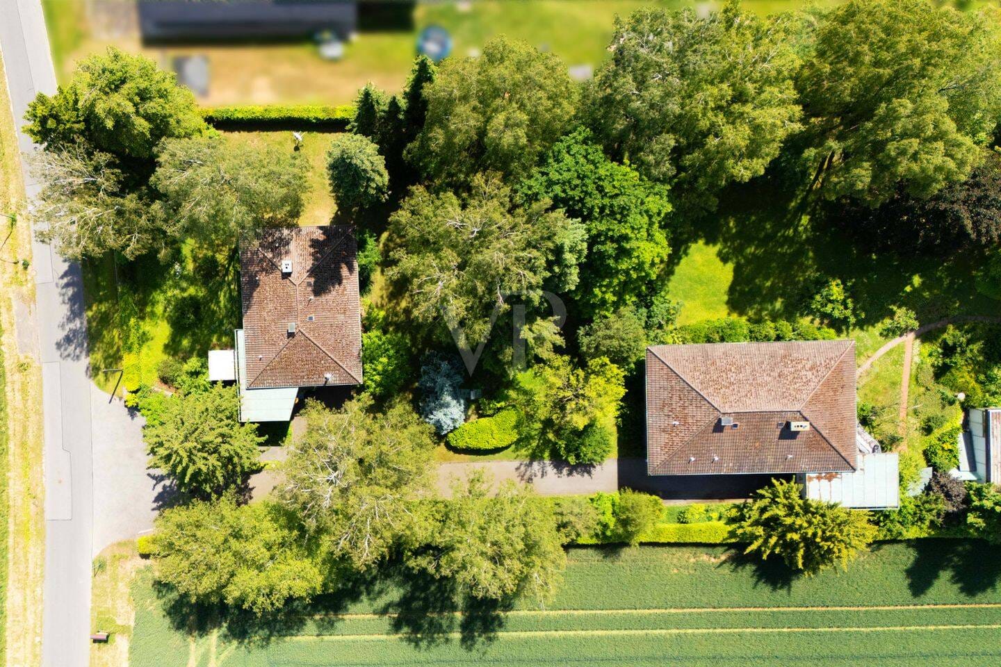 Immobilie in Bad Rodach - Einzigartiges, parkähnliches Anwesen mit Villa, Poolhaus und Einfamilienhaus - Bild 4