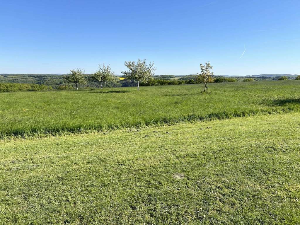 Immobilie in Klotten - Modernes Wohnen mit unverbaubarem Blick ins Grüne in Fast-Alleinlage - Bild 0