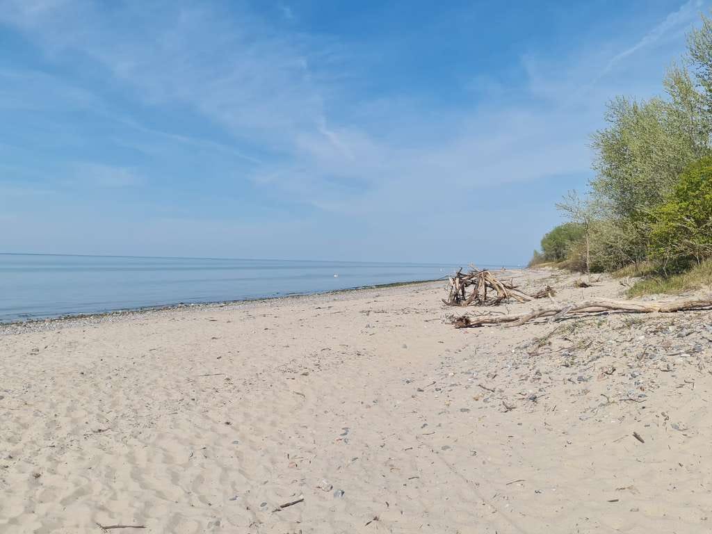 Immobilie in Kalkhorst - Attraktives Mehrfamilienhaus an der Ostsee! - Bild 2