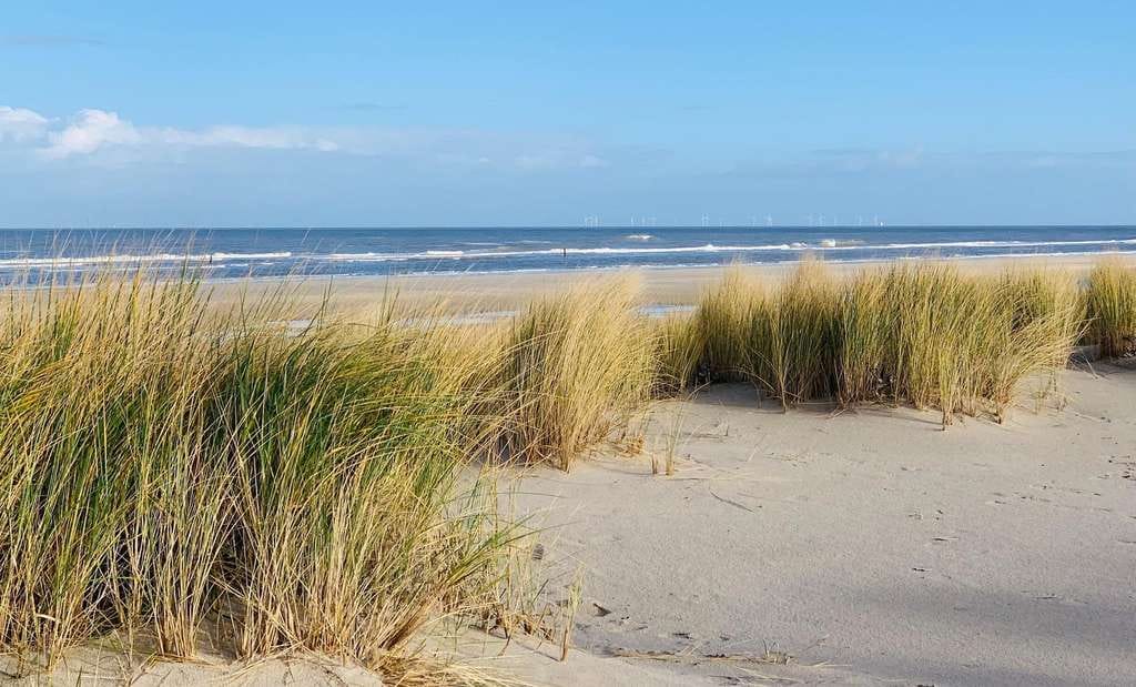 Immobilie in Wangerooge - Wangerooge: Ferienwohnung mit 2 Balkonen - 100 m zum Strand - provisionsfrei - Bild 1