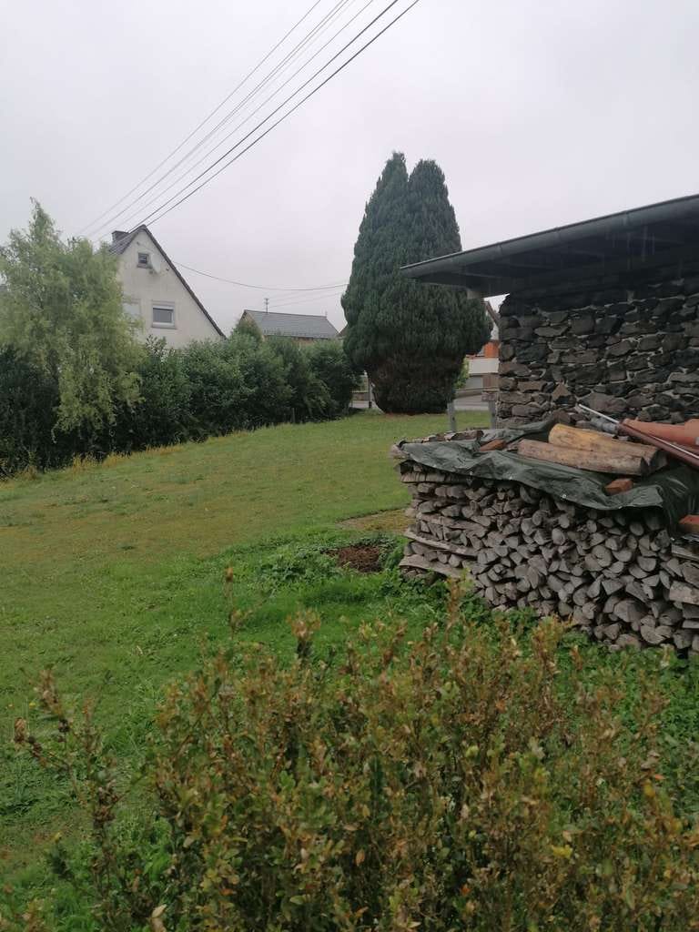 Immobilie in Steinefrenz - Einfamilienhaus mit großer Scheune und großem Grundstück - Bild 3