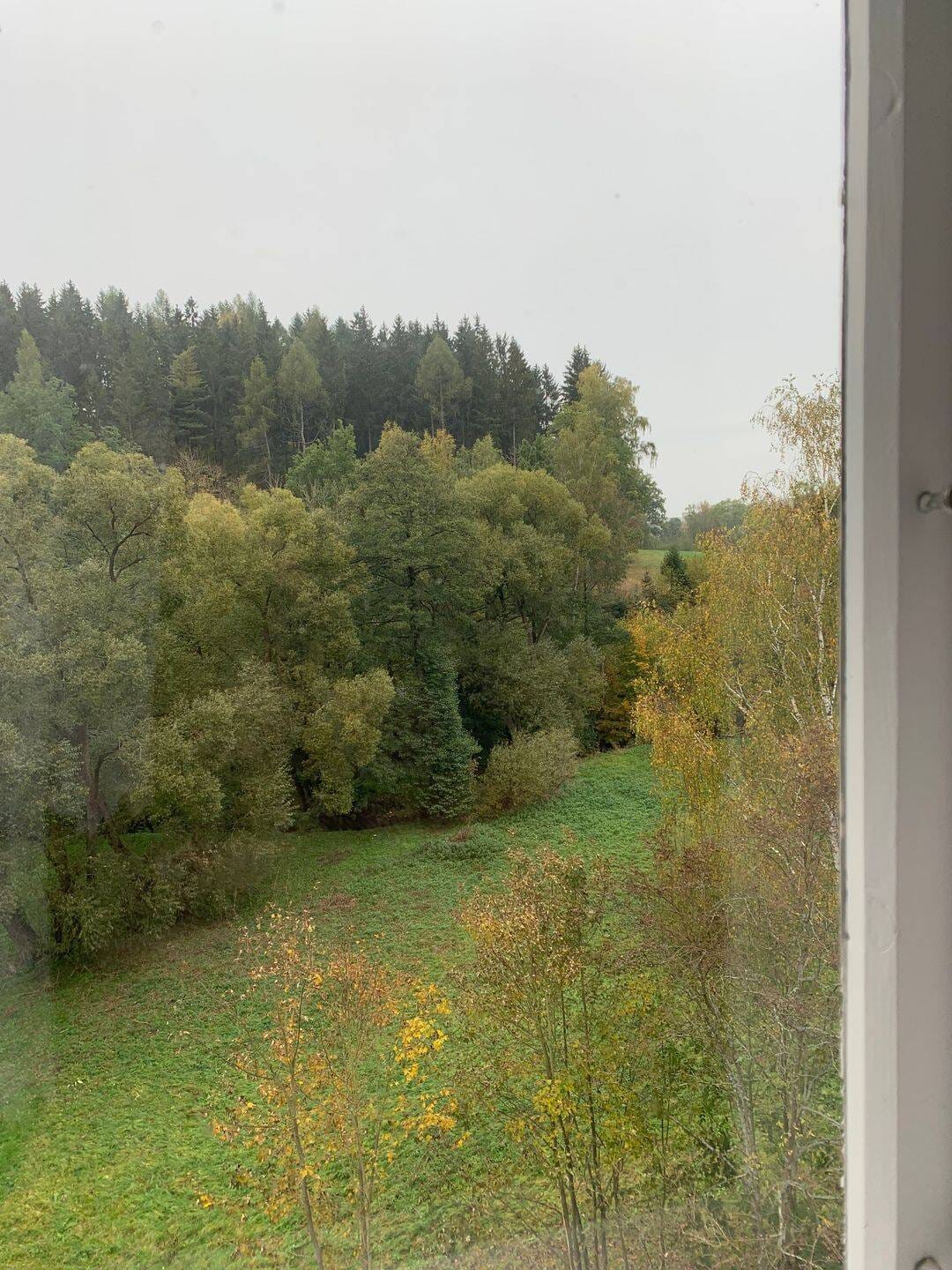 Immobilie in Mulda/Sachsen - Eigentumswohnung mit Gartengrundstück in ruhiger Lage - Bild 4