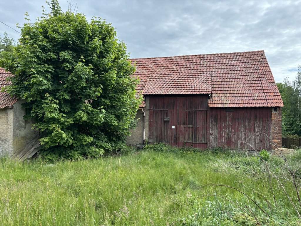 Immobilie in Löbau - Doppelhaushälfte mit Nebengebäude und Grundstück - Bild 4