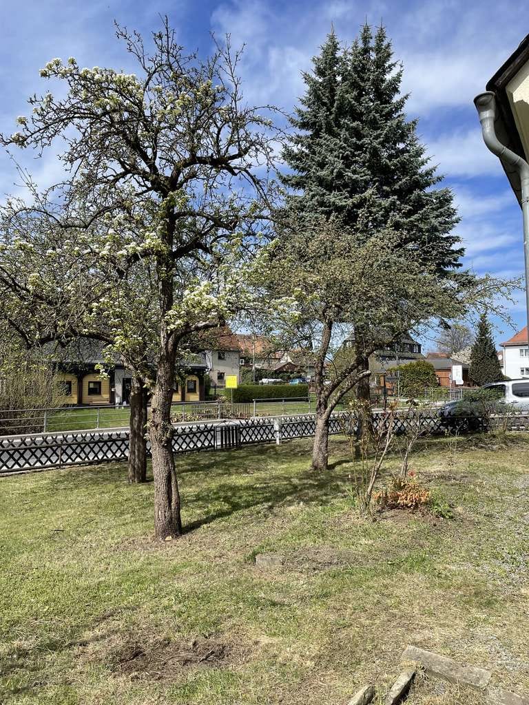 Immobilie in Kottmar - Kleines freistehendes EFH in Eibau - Bild 2