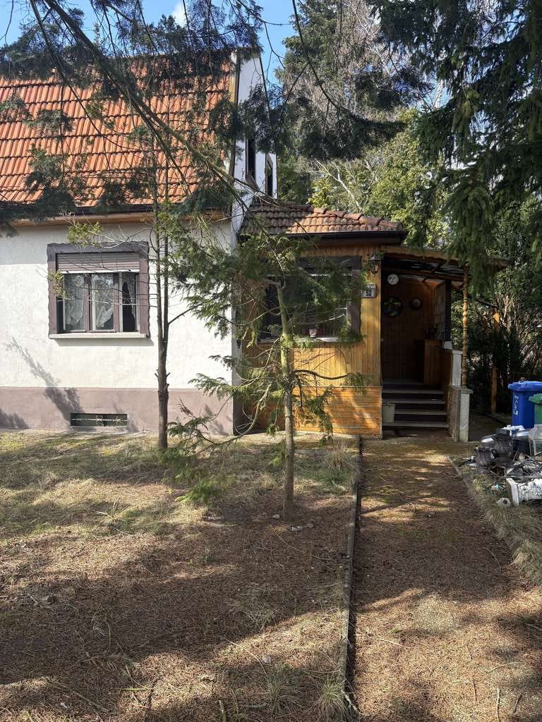 Immobilie in Schulzendorf - 🏚️ Handwerkertraum oder Neubau: EFH auf großem 1.133 m² Grundstück - Bild 1