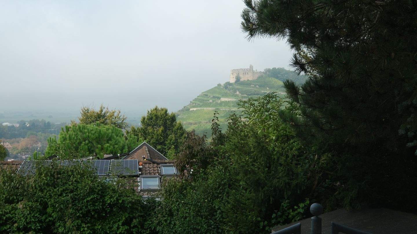 Immobilie in Staufen im Breisgau - Wohnen mit Burgblick - Maisonettewohnung mit Pool und Hauscharakter in Staufen - Bild 0