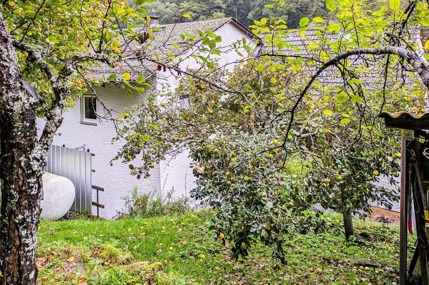 Immobilie in Oberzent - Interessante Immobilie mit großem Grundstück im ruhigen, von Natur umgebenen Sensbachtal! - Bild 4