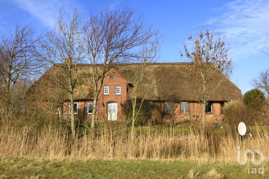 Immobilie in Hattstedtermarsch - Reetgedeckter Traum unter Nordseewolken – Friesisches Langhaus mit Geschichte - Bild 3