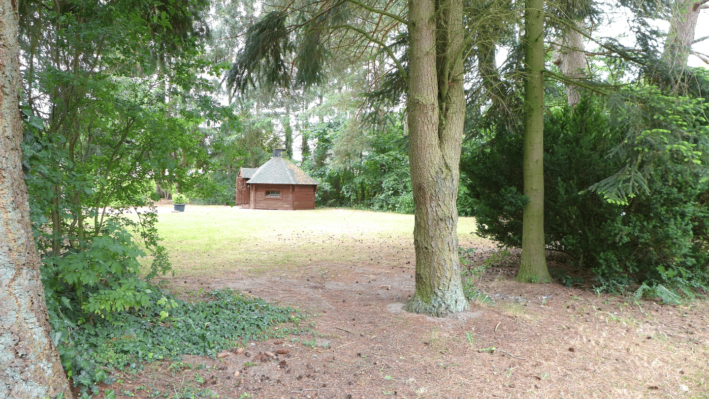 Immobilie in Rohlstorf - EFH/Nebengebäude 1950-2026, saniert, renoviert, überplant, 100 m² Wfl + Nfl.,4173 m² Grund, avi. Bauland, Raum und Fläche für viele Lebensziele - Bild 4