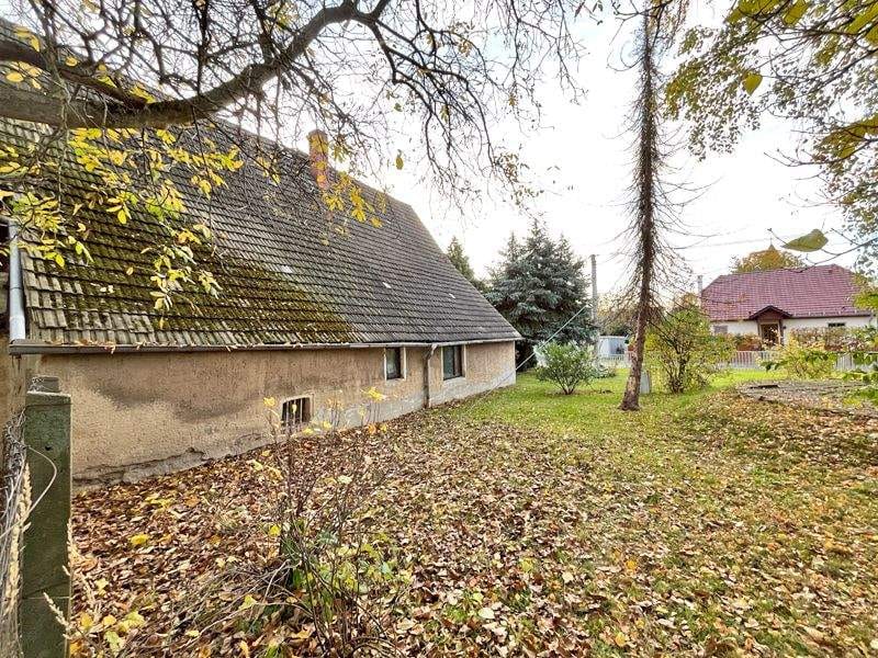 Immobilie in Oschatz - Idyllisches Grundstück mit eigenem Quellteich, Baumbestand und stark sanierungsbedürftigem Wohnhaus sowie großer Sche... - Bild 2